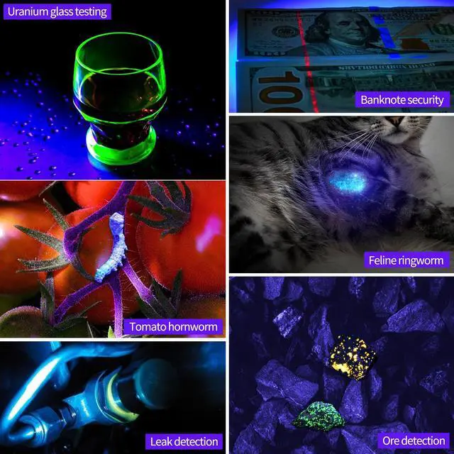Alt view image 6 of 7 - UV Flashlight 365nm Black Light - Woods Lamp 20W High Power Rechargeable Ultraviolet Light with Filter - Detector for Pet Urine & Leak, Resin Curing, Blood Tracking, Searching Rocks/Scorpion