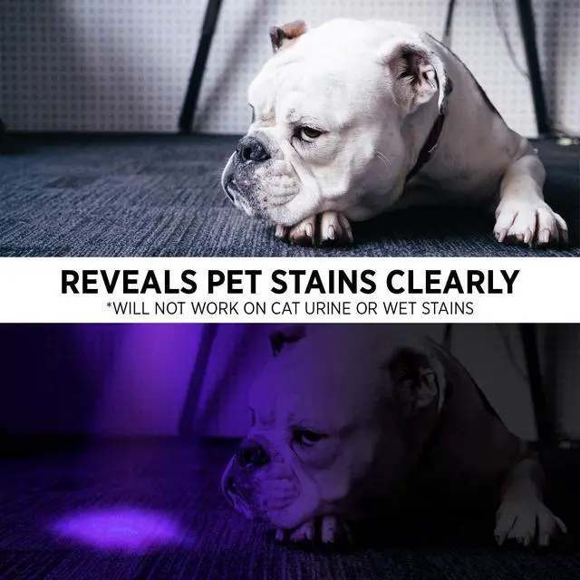 Alt view image 7 of 7 - UV Flashlight Black Light from 68 LED Blacklight Flashlight Dog/Cat Pet Urine Detector, Scorpion, Bed Bug, Resin Curing, Dog Stain, and Carpet Odor Eliminator Remover, ID Checking_XR68
