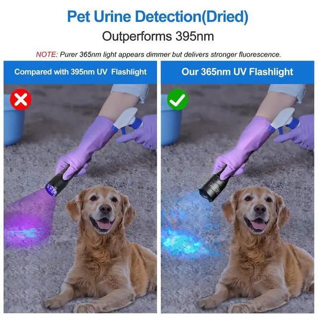 Alt view image 2 of 7 - X7 Pro 365nm UV Light Blacklight Flashlights: LED Black Light Flashlite Professional Ultraviolet Flashlight Pet Urine Detector for Dog Cat, Resin Curing and Rock Hunting(Batteries are Included)
