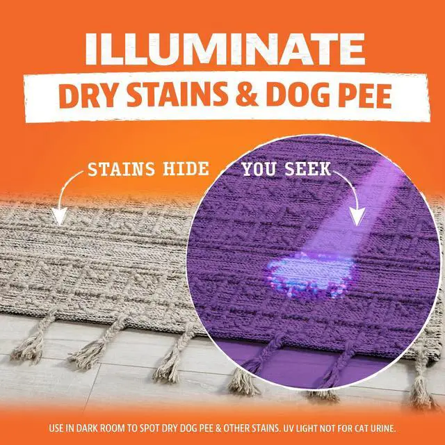 Alt view image 3 of 7 - 1Orange UV Flashlight - Portable LED Black Light for Pet Urine Detection, Dog/Cat Urine Detector for Dry Stains and Bed Bug, Matching with Pet Odor Eliminator
