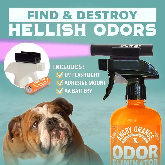 Alt view image 2 of 7 - 1Orange UV Flashlight - Portable LED Black Light for Pet Urine Detection, Dog/Cat Urine Detector for Dry Stains and Bed Bug, Matching with Pet Odor Eliminator