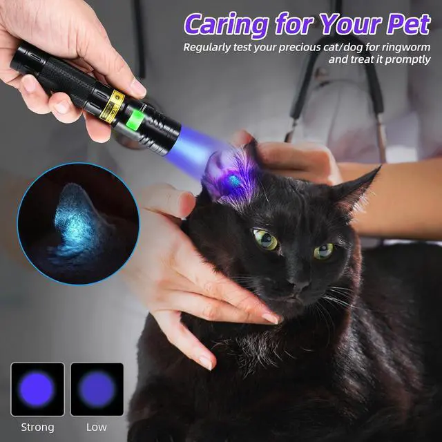 Alt view image 4 of 7 - Flashlight UV 365nm Black Light High Power 3 LEDs USB -C Rechargeable, 20W Mini Woods Lamp Ultraviolet with Filter - Detector for Pet Urine, Uranium Glass - Leak Detection - Resin Curing