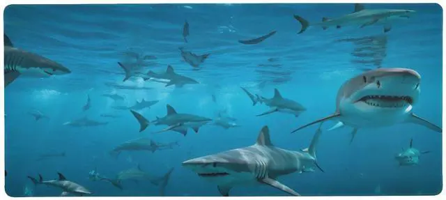 Main image of Sea Shark Mouse Pad Large Gaming Mouse Pad- 35.4x15.7x0.12x0.12 inch Computer Keyboard Mouse Mat Non-Slip Mousepad Rubber Base for Game Players, Office, Study