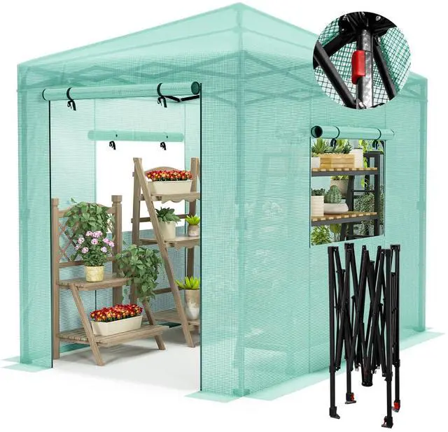 Main image of Walk-in Greenhouse, Instant Pop Up Green House for Outdoors with Zippered Door and 2 Roll-up Windows, PE Cover, Portable and Easy Assemble (Green, 8x6 Feet)