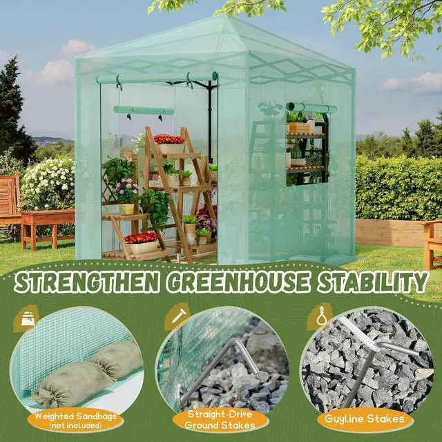 Alt view image 5 of 7 - Walk-in Greenhouse, Instant Pop Up Green House for Outdoors with Zippered Door and 2 Roll-up Windows, PE Cover, Portable and Easy Assemble (Green, 8x6 Feet)