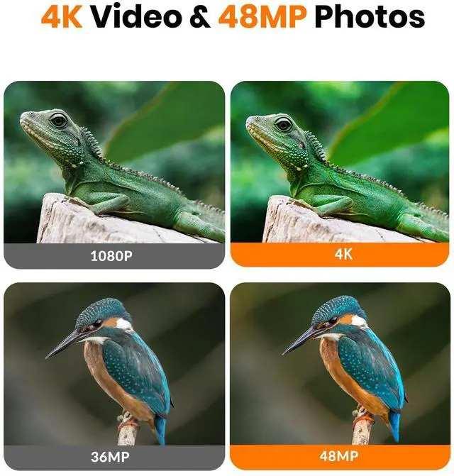 Alt view image 4 of 7 - Trail Camera - 4K 48MP Game Camera with Night Vision, 0.05s Trigger Motion Activated Hunting Camera, IP66 Waterproof, 130°Wide-Angle with 46pcs No Glow Infrared Leds for Outdoor Wildlife Monitoring