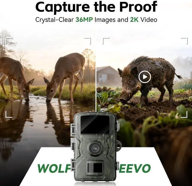 Alt view image 2 of 7 - Trail Camera, 36MP 2K 0.1S Trigger Motion Activated,Game Camera with Night Vision IP66 Waterproof 2.0''LCD 90° Cam Lens for Outdoor Scouting Wildlife Monitoring Home Security, Gifts for Men