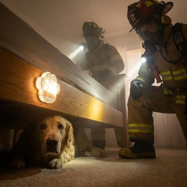 Alt view image 3 of 7 - Pet Safety Notification Device | Smoke-Activated Strobe Alert for Dogs & Cats | Designed by a Firefighter | 2025 Pet Innovation Award Winner