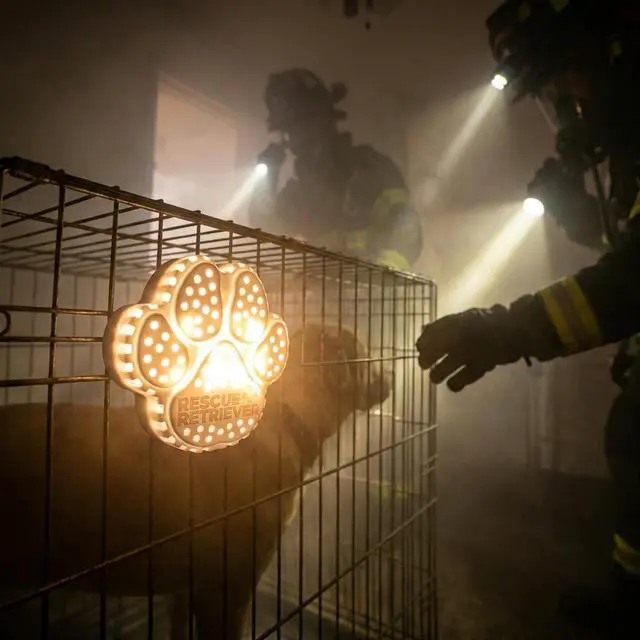 Alt view image 2 of 7 - Pet Safety Notification Device | Smoke-Activated Strobe Alert for Dogs & Cats | Designed by a Firefighter | 2025 Pet Innovation Award Winner