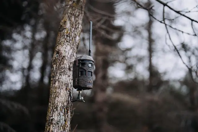 Alt view image 6 of 6 - Trifecta 180 Cellular Trail Camera, 36MP 1080p (Brown)