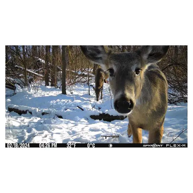 Alt view image 2 of 7 - Flex-M Cellular Trail Camera - Best Hunting Accessories, No WiFi Needed, Night Vision, Motion Activated, Dual-Sim LTE, IP65 Water-Resistant Game Camera, 28MP Photos, 720p Videos + Sound (1)