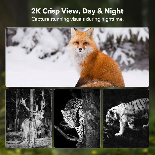 Alt view image 5 of 7 - 4G LTE Cellular Trail Camera 2K 360° View Live Streaming Game Camera Built-in SIM Card with Motion Activated Color Night Vision Remote Phone Access Solar Powered Trail Camera IP65 Waterproof