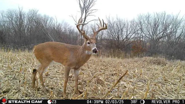 Alt view image 5 of 7 - Revolver PRO 40MP Photo 1440P at 30 FPS QHD Video 0.4 Sec Trigger Speed 360-Degree Panoramic View Built-in GPS Hunting Cellular Trail Camera