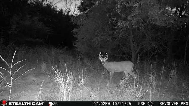 Alt view image 7 of 7 - Revolver PRO 40MP Photo 1440P at 30 FPS QHD Video 0.4 Sec Trigger Speed 360-Degree Panoramic View Built-in GPS Hunting Cellular Trail Camera