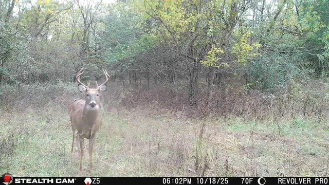 Alt view image 6 of 7 - Revolver PRO 40MP Photo 1440P at 30 FPS QHD Video 0.4 Sec Trigger Speed 360-Degree Panoramic View Built-in GPS Hunting Cellular Trail Camera