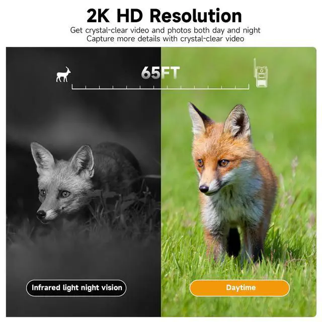 Alt view image 5 of 7 - 4G LTE Cellular Trail Cameras Unlimited Data Plan Solar Trail Cameras Built in SIM Card Game Camera IP65 Waterproof Security Camera with 2K Live Video, No Glow Night Vision