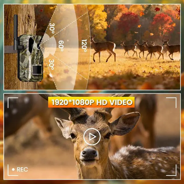 Alt view image 5 of 7 - Trail Camera, 4G Cellular Dual Lens Trail Cameras 2.7K, 0.2s Fast Trigger Speed, Game Camera with Full Color Night Vision, No Glow IR, Motion Detection, No WiFi Needed, IP 65 Waterproof