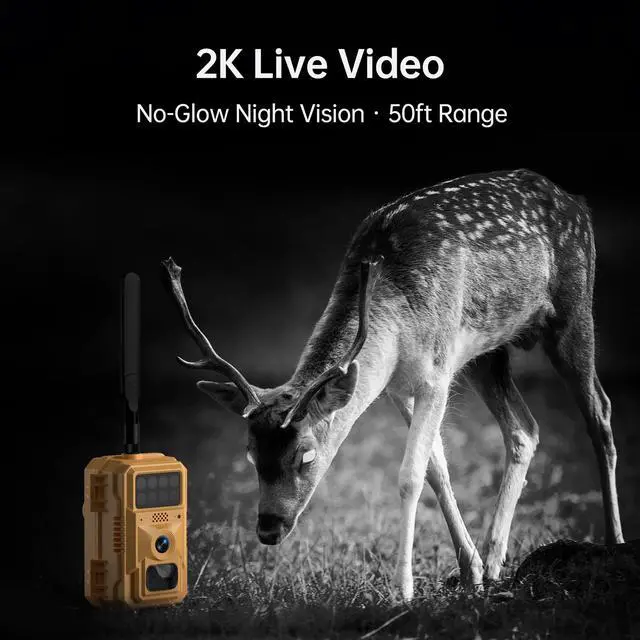 Alt view image 5 of 7 - 2K Cellular Trail Camera, 4G LTE Solar Wildlife Camera No WiFi Needed, 0.2s Trigger, No-Glow Night Vision, Pre-Installed IoT SIM & 32GB SD Card for Farm and Remote Property