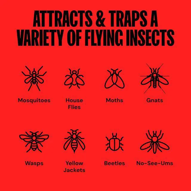 Alt view image 4 of 7 - DT2030SR Fly Traps Outdoor - Mosquito & Flying Insect Killer for 1 Acre Kills Mosquitoes, Flies, Gnats, Wasps - Bug Zapper Alternative - Black