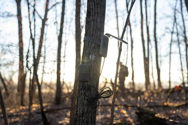 Alt view image 2 of 4 - Fusion Max 2.0 Cellular Trail Camera with SOLPAK 3,000 mAh, 36MP, 1080P Video, Outdoor Security Camera