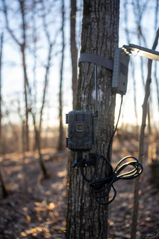 Alt view image 4 of 4 - Fusion Max 2.0 Cellular Trail Camera with SOLPAK 3,000 mAh, 36MP, 1080P Video, Outdoor Security Camera