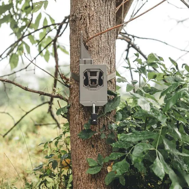 Alt view image 2 of 7 - Reveal Security Box, Steel Trail Camera Lock Box