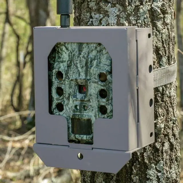 Alt view image 2 of 2 - Security Box Cellular Tan