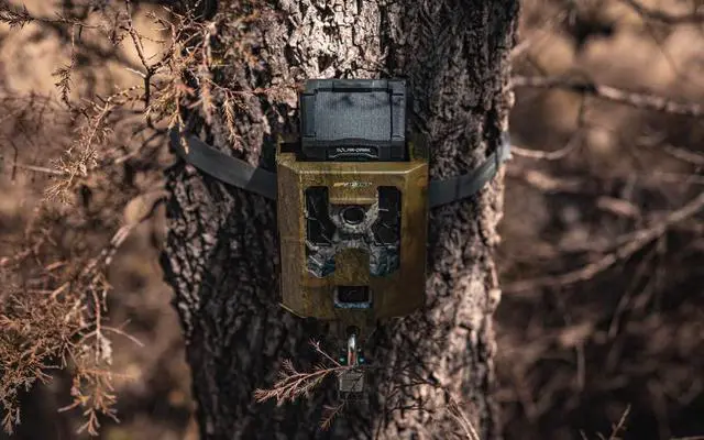 Alt view image 2 of 7 - Cellular Trail Cameras Security Box - SB-200 Steel Security Box fits 42 LED Cellular Game Camera | Protective Heavy Duty Steel Case fit on Cell Cameras for hunting, Trail Camera Lock Box