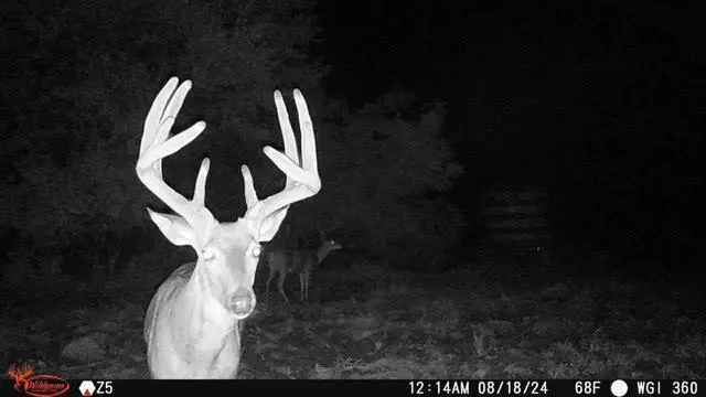 Alt view image 5 of 7 - Orbit 360 Degree Cellular Trail Camera