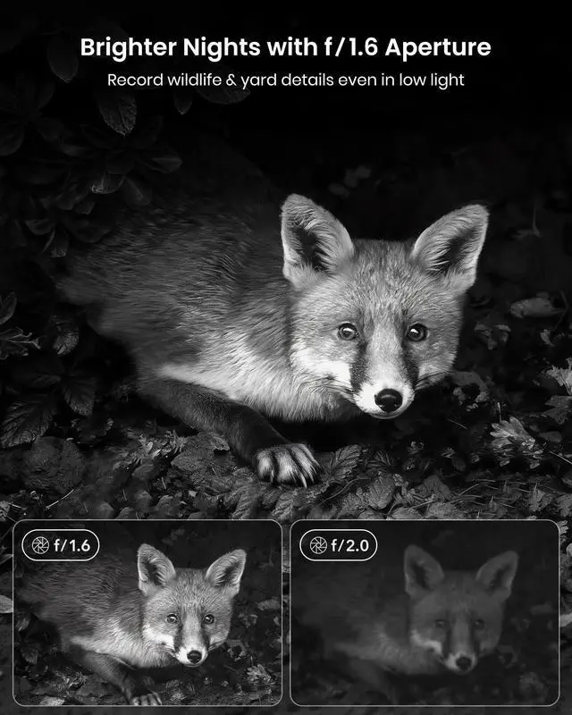 Alt view image 4 of 7 - Solar Trail Camera, 4K/64MP Clear Night Vision for Game & Outdoor