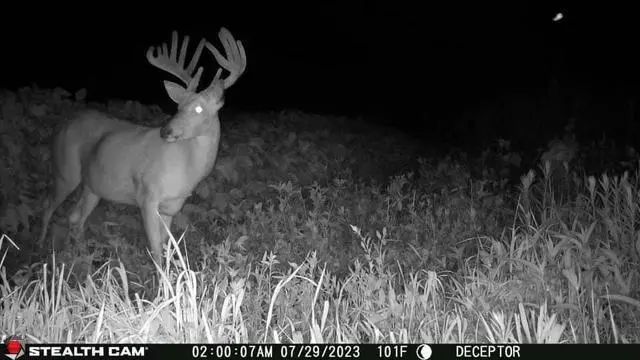 Alt view image 5 of 6 - Deceptor No Glo Outdoor Hunting Cellular Trail Camera 80ft Detection & IR Range 40MP Photo 1440P HD Video Capture with FieldMax Lithium Rechargeable Battery Cartridge - Dual Network