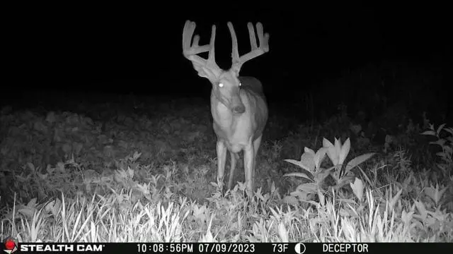 Alt view image 6 of 6 - Deceptor No Glo Outdoor Hunting Cellular Trail Camera 80ft Detection & IR Range 40MP Photo 1440P HD Video Capture with FieldMax Lithium Rechargeable Battery Cartridge - Dual Network