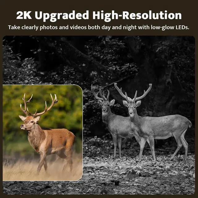 Alt view image 6 of 7 - 4G LTE Cellular Trail Camera Outdoor Wireless,360° Security Game Camera with Solar, 2k Night Vision, Motion Activated IP66 Waterproof, Sends Picture to Cell Phone