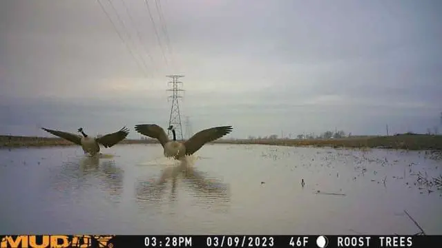 Alt view image 5 of 7 - Mitigator Cellular Trail Camera Mud Mtgtr 24MP 80ft Range