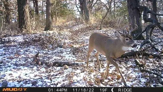 Alt view image 7 of 7 - Mitigator Cellular Trail Camera Mud Mtgtr 24MP 80ft Range