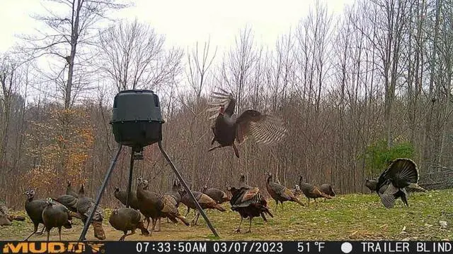Alt view image 6 of 7 - Mitigator Cellular Trail Camera Mud Mtgtr 24MP 80ft Range