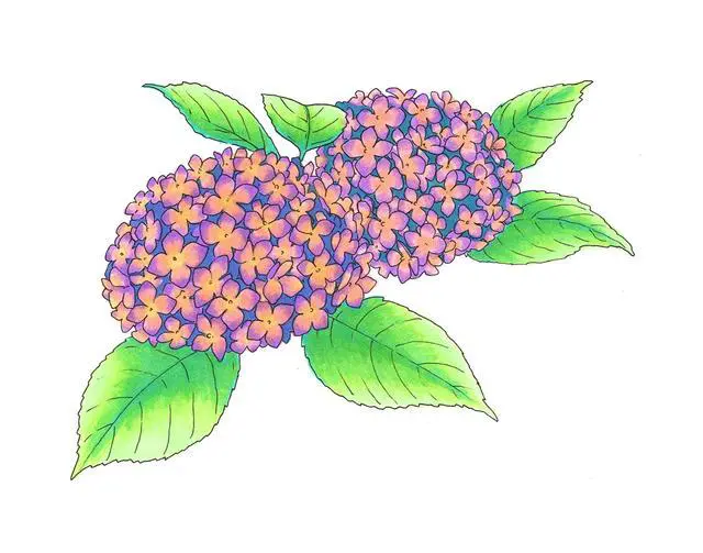 Alt view image 2 of 4 - Ciao Pastel Alcohol Markers 6 Colors Dual Brush Tip Art Marker for Adults/Teen Artists & Creators, Permanent Blendable Sketch Markers for Coloring Drawing & Illustration Art - Pastel Color Set