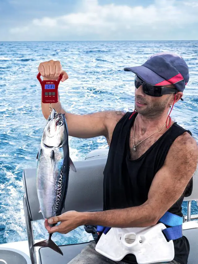 Alt view image 4 of 7 - Fish Scale, 110lb/50kg Digital Portable Hanging Fishing Weight Scale with Backlit LCD Display, Luggage Scale with Non-Slip Large ABS Handle & 2 AAA Batteries, Fishing Gifts Gear for Men, Red