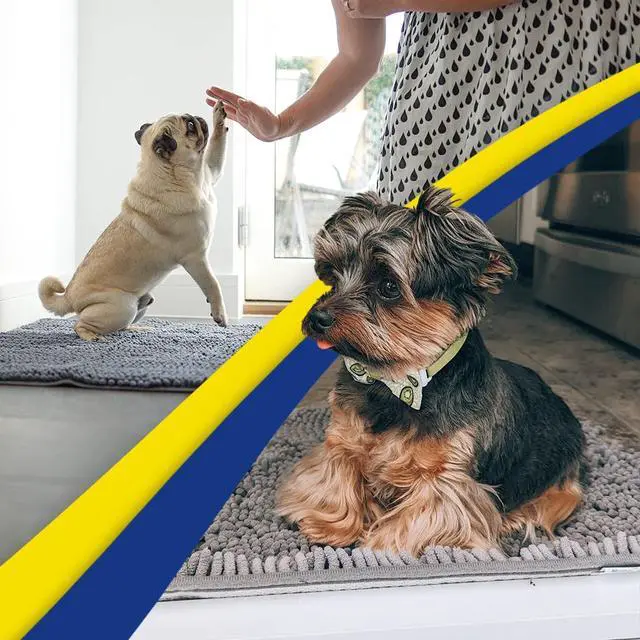 Alt view image 6 of 7 - Super Water Absorbent Door Mat Indoor, Microfiber Quick Dry Chenille Entryway Rug, Slip Resistant Front Door Mat, Indoor Mats for Entryway, Machine Washable Pet Rug, Grey 28"x18"