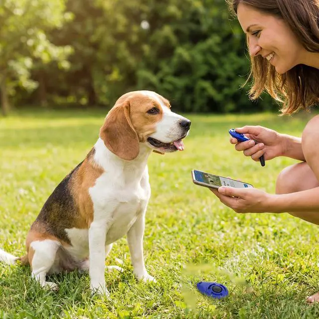 Alt view image 7 of 7 - 30pcs Dog Training Clickers with Wrist Strap,Multicolor Pet Training Clicker Cat Clicker Bird Clickers for Dogs Cats Horses Birds Behavioral Training Accessories