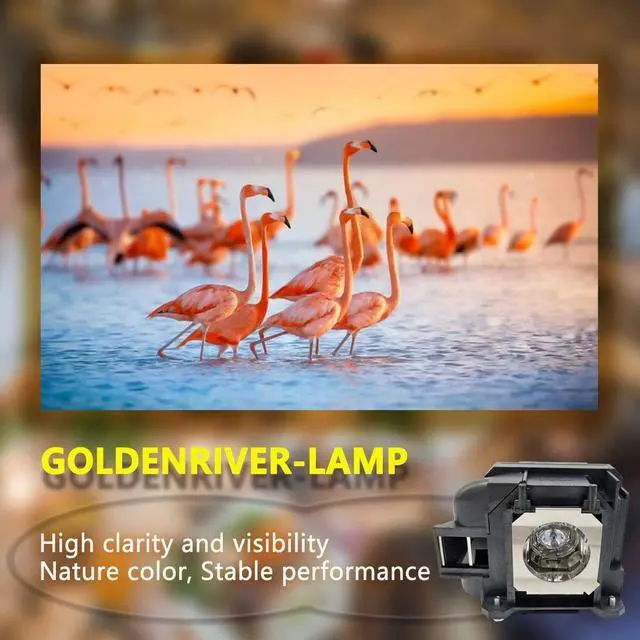 Alt view image 4 of 5 - GOLDENRIVER EP78 / V13H010L78 Replacement Projector Lamp with Housing Compatible with EB-945 EB-955W EB-965 EB-98 EB-S17 EB-S18 EB-SXW03 EB-SXW18 EB-W18 EB-W22 EB-W28 EB-X03 EB-X18 EB-X20