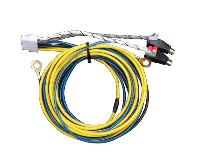 Alt view image 2 of 5 - 10-Pin Harness Cord Compatible with Kenwood Subwoofer KSC-SW30 KSC-SW11 WA80 WA100 SW10 WX1 KSC-SW880 KSC-SW900 KSC-SW910 KSC-SW201X KSC-WA82RC KSC-PSW8 KSC-PSW7EQ JVC CW-DRA8 Subwoofer Enclosure fuse