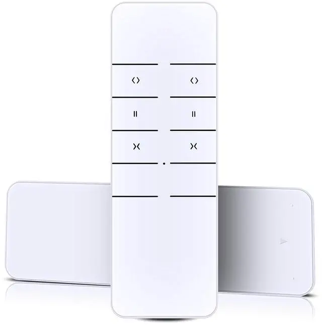 Main image of RYQIF Replacement Remote Control fits AOK Motors Sortfle AC123-02 2 Channel RF433.92