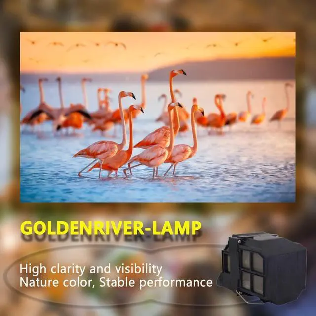 Alt view image 4 of 5 - GOLDENRIVER ELP75 V13H010L75 Premium Quality Replacement Projector Lamp with Housing Compatible with Powerlite 1940w 1945w 1950 1955 1960 1965