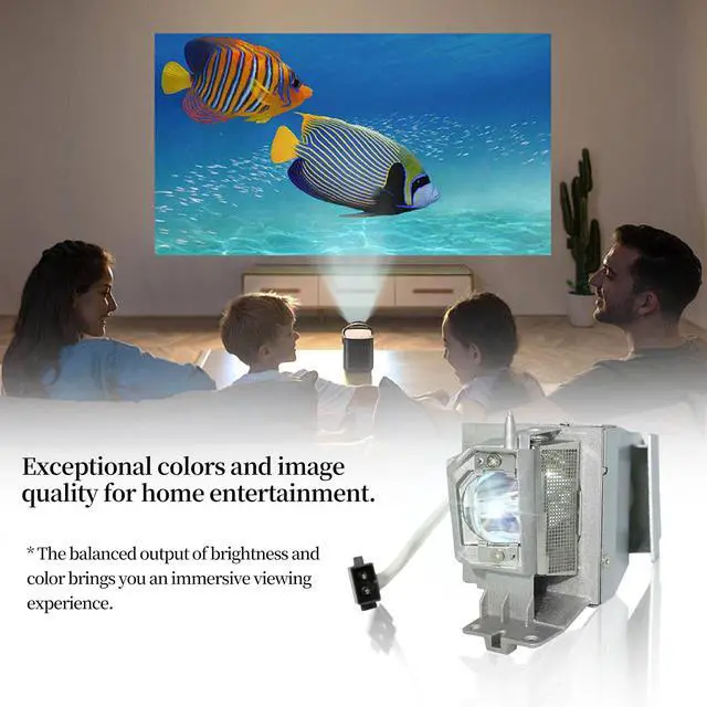 Alt view image 5 of 5 - SORNEICDR Replacement Projector Lamp Bulb BL-FP195B/MC.JN811.001/SP-LAMP-091/SP-LAMP-097/SP.78H01GC01/BL-FP195A/SP.71P01GC01 Compatible with OPTOMA/ACER/INFOCUS GT1080DARBEE, DWX1521, H6517ABD, IN2