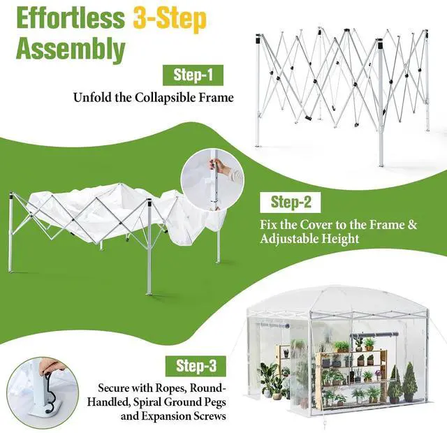 Alt view image 3 of 7 - 10×10×8.5 FT Portable Walk-in Greenhouse for Indoor & Outdoor Use, Pop-Up Greenhouse with Adjustable Reinforced Frame, Roll-Up Zipper Doors, Ventilation Windows & PE Cover, White