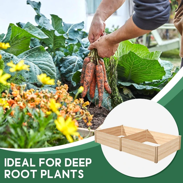 Alt view image 6 of 7 - 8x4 Ft Wood Raised Garden Bed, Durable 15 Inch Depth Planter Box for Vegetables, Herbs, and Flowers, Ideal for Outdoor Gardening with Open Base