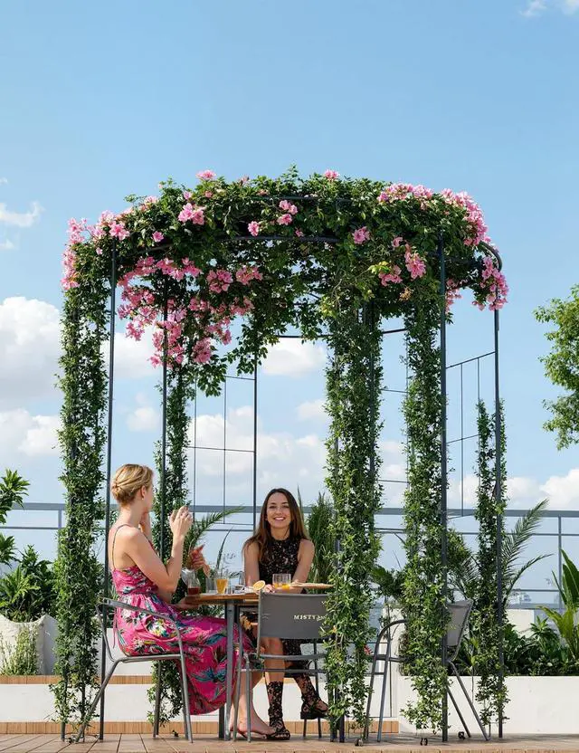 Alt view image 5 of 7 - Patikuin 8.8FT Heavy Duty Wrought Iron Garden Arbor Arch, Black Metal Birdcage Trellis Pergola, Climbing Plant Support, Outdoor Wedding Ceremony Backdrop for Patio & Backyard Decor