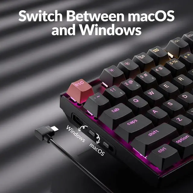 Alt view image 4 of 7 - Keychron K8 V2 Wireless RGB Mechanical Keyboard, QMK/VIA Programmable, Hot-Swappable Super Red Switches, 87-Key TKL PBT Keycaps, Dual-Mode Bluetooth 5.2 & USB-C Wired, for Mac, Windows, Linux