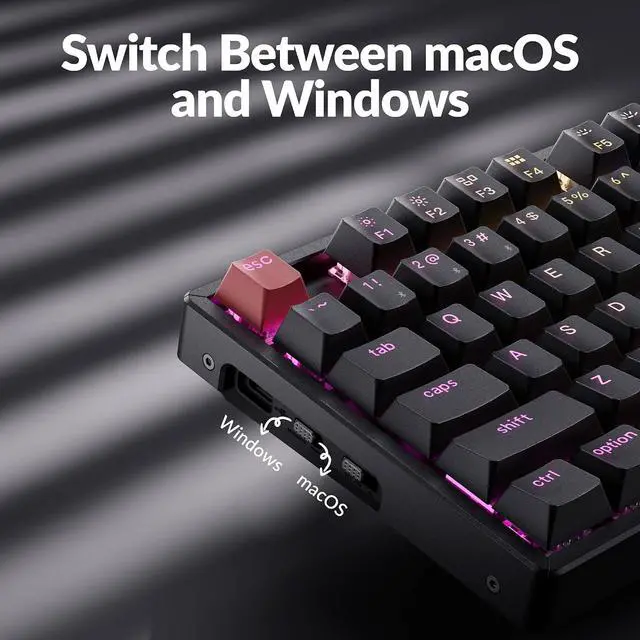 Alt view image 4 of 7 - Keychron K8 Version 2 TKL Wireless Mechanical Keyboard, QMK/Launcher Bluetooth 5.2/Wired, RGB Backlit Shine-Through PBT Keycaps, Super Banana Switch, Aluminum Frame for Mac Windows Linux